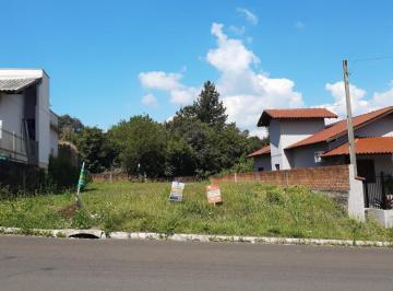 22709619_g.jpg · 
                                Terreno
                            