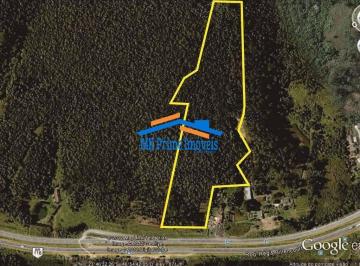 Terreno · 63202m² · ÁREA 63.202,79 m² às margens da Rod. Regis Bittencourt - Km 297 + 150 m