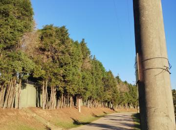 Rural 20000m² Venda Varejão · Terreno à venda/Rural/ Excelente oportunidade de investimento.