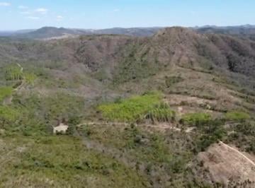 Rural de 3 quartos, Planaltina · Fazenda 600 Hectares - Município de Planaltina/GO