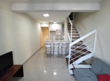 0 · apartamento para aluguel em Cambuí