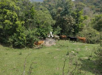 Foto 01 · FRB IMÓVEIS PRIME| Sítio a venda em Bofete