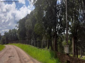 Foto 01 · Area, Linha Imperial, Nova Petrópolis, RS