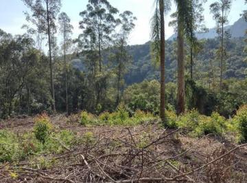 Foto 01 · Area, Arroio Paixão, Nova Petrópolis, RS