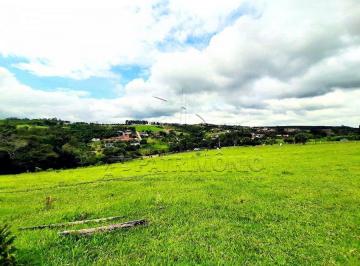82173_i64bv17s675_821736345d024eb533.jpg · TERRENO, Bairro Morros