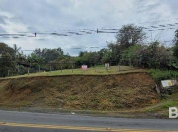 bdfaf6ffdd43ad0753e1c6153422c4f9b1e0fa98 · Terreno à venda, 754 m² por R$ 550.000,00 - Velha - Blumenau/SC