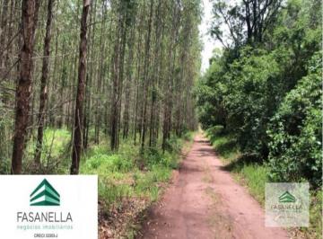 Foto 01 · Fazenda à venda em São Simão
