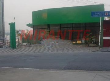 40fd720f65ab83c81606a37d59780246.jpg · Comercial de 350m²
