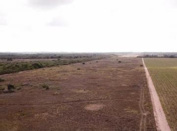 Terreno · 57m² · Vendo área com 57 hectares em São José de Mipibu/RN
