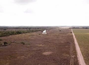 Terreno · 57m² · Vendo área com 57 hectares em São José de Mipibu/RN