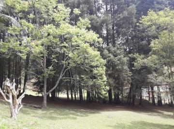 825a26d960533faafe27719cdd22ffcd817c023b · Terreno à venda, 5000 m² por R$ 1.500.000,00 - Mailasqui - São Roque/SP