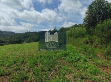 Rural · 125000m² · Área de terra parte com plantio parte com eucalipto