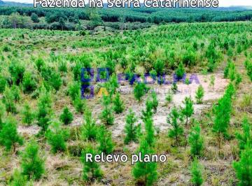 Rural · 112m² · Fazenda à Venda em Santa Catarina