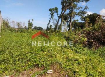 Terreno · 395m² · Lote em Rua Ester Costa Dourado - Balneário Flórida Mirim - Mongaguá/SP