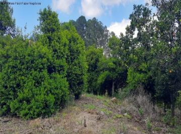 Foto 01 · Terreno, Logradouro, Nova Petrópolis, RS