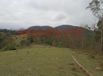 a55c94f37839c934418268175b09baef.jpg · Terreno