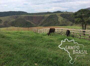 Foto 34 · FAZENDA 438 HECTARES TOPOGRAFIA MISTA NO SUL DE MINAS !