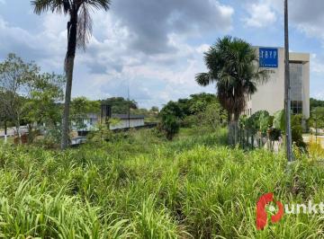 28393915686796b3d81a637cd2f6c8d543b2bac2 · Terreno à venda, 6250 m² por R$ 2.500.000,00 - Tarumã - Manaus/AM