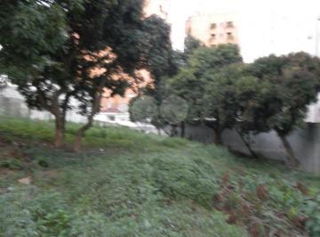 Sem Categoria · Imoveis - no Vila Progredior