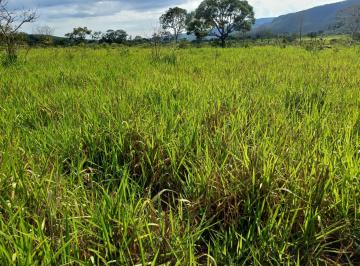 Rural de 2 quartos, Colinas do Sul · FAZENDA BEIRA RIO, DUPLA APTIDÃO  