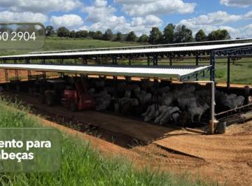 2f3c4ea67c1e4b4268b0e936bc8a097e.jpg · Fazenda / Sítios / Chácaras com 3 quartos à venda em São Gonçalo Do Sapucaí, no bairro Zona Rural