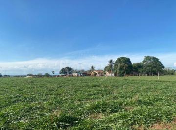 Rural · 121000m² · Sítio no Centro - Rubinéia - SP