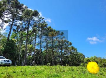 Terreno , Gonçalves · TERRENO PARA VENDA, GONÇALVES / MG