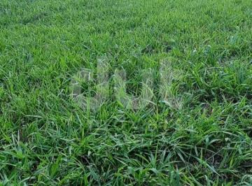 0 · terreno à venda em Villagio Paradiso