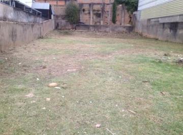 0 · terreno para aluguel em Cambuí