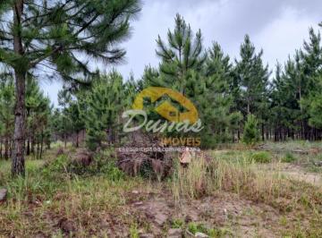 Terreno · 300m² · TERRENO PARA INVESTIMENTO EM NOVA TRAMANDAÍ