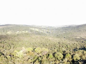 Terreno · 20000m² · Área de 20.000 m² em Casa Branca.