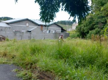 Terreno , Pinhalzinho · TERRENO À VENDA EM PINHALZINHO - SP