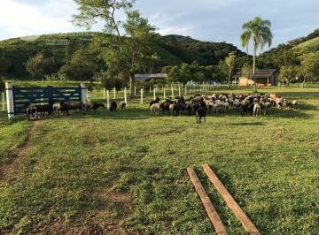 Rural · 117m² · Fazenda em Zona Rural Eldorado Sp  -  Eldorado