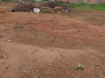 Terreno , Samambaia · Terreno - Nascente - Melhor Localização - Vista Livre - 98112-5546 