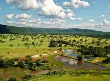 Rural · 2000000m² · Fazenda com 2.000 hectares venda em João Pinheiro em Minas Gerais