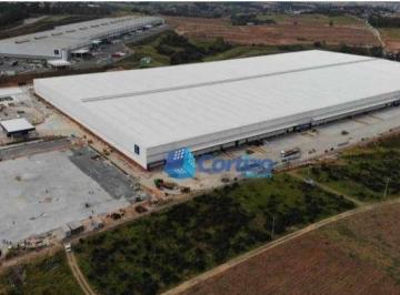 2b041056e6f35cf8968f27ad6bea1e1e7284412c · Galpão Logístico Classe AAA para Locação | 4.259 m² | Infraestrutura Premium e Pronta para Operação