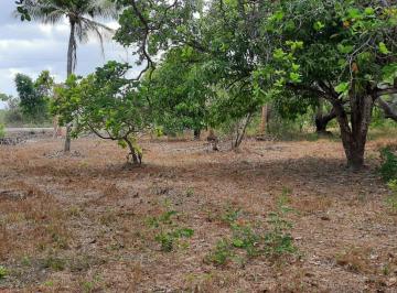 Terreno , Jijoca de Jericoacoara · Terreno 50 X 100 m  com  Matrícula/  Praia do Preá e Coconut