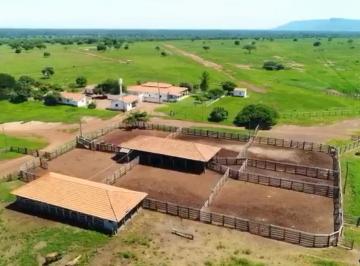 Rural , Alvorada do Norte · FAZENDA - ALVORADA DO NORTE - GOIÁS| 8.543 HECTARES, DUPLA APTIDÃO, BR - 020 CORTA A FAZENDA