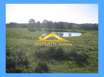 Foto 09 · Área de 56 hectares junto à RS 118, aceita imóveis, aceita veículos