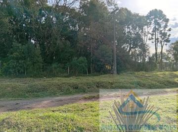 20260811154709205.jpeg · Terreno para Venda em São José dos Pinhais, Campo Largo da Roseira