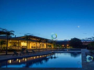 ALPHAVILLE · Terreno à venda, 487 m² por R$ 780.000,00 - Alphaville - Ribeirão Preto/SP