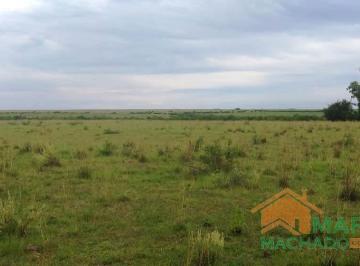 20211227203812377426.jpeg · Fazenda para Venda em Quaraí, Rural