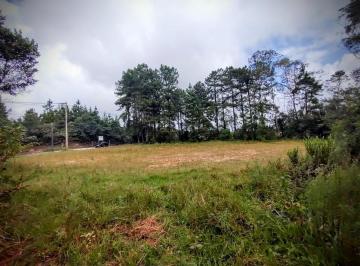20211019161233268096.jpg · Lote para Venda em Santo André, Parque das Garças