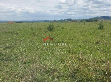 Rural · 96500000m² · 1 Quarto · Fazenda em Rodovia Rodrigues Pinheiro - Rodovia Rodrigues Pinheiro - Tremembé/SP