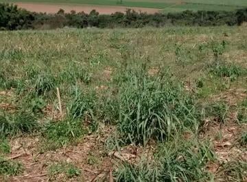 Rural , Engenheiro Coelho · Sítio de 20 mil metros quadrados próximo a Engenheiro Coelho -SP