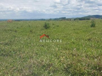 Rural · 96500000m² · 1 Quarto · Fazenda em Rodovia Rodrigues Pinheiro  - Rodovia Rodrigues Pinheiro - Tremembé/SP