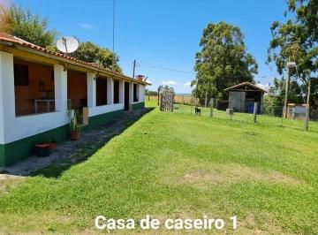 Foto 01 · Sítio 10 Alqueires, Acesso Asfaltado, 1 Casa Sede 500m2, 2 Casas Caseiro, 3 Barracões de Granja, 10 