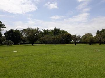 0dc1b29191c1c676c8e0b2a12e5f5e935cd1d3b7 · Sítio à venda, 118822 m² por R$ 4.500.000,00 - do Doze - Itu/SP