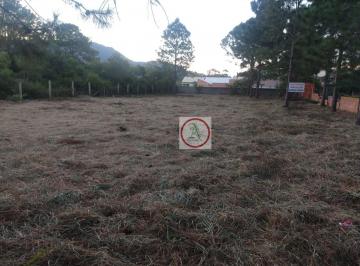 Terreno · 1000m² · TERRENO 1 MIL METROS NO RIO VERMELHO.