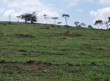 EDS_76_2022-11-16_10-14-40.jpg · Terreno - Área para venda Zona Rural Piedade dos Gerais
